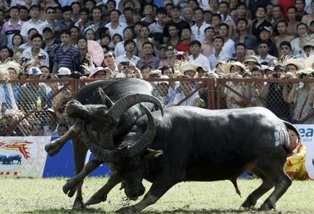 Traditionelle Feste zum neuen Jahr des Affen